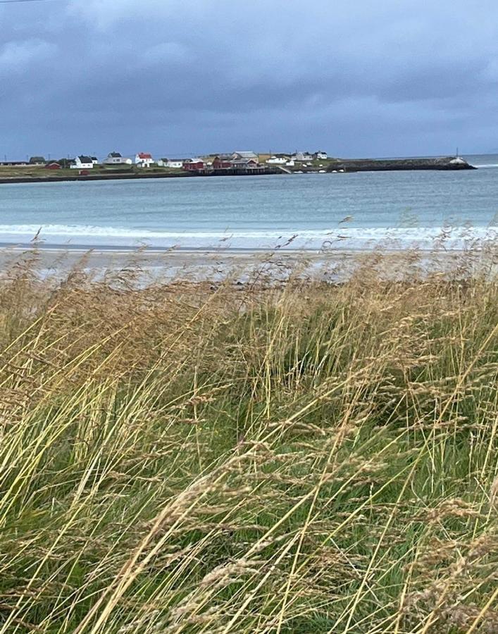 Ekkeroy Lodge - Arctic Living 瓦德瑟 外观 照片