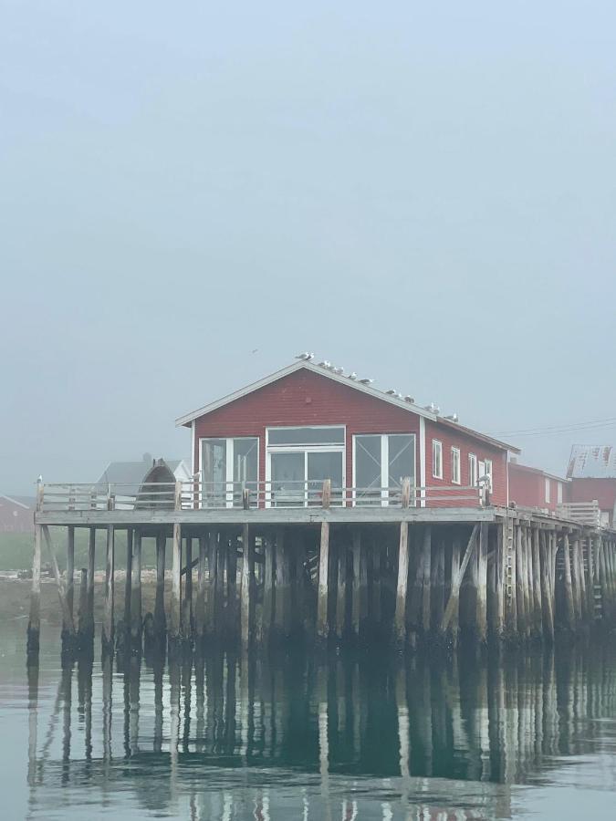 Ekkeroy Lodge - Arctic Living 瓦德瑟 外观 照片