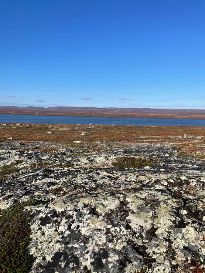 Ekkeroy Lodge - Arctic Living 瓦德瑟 外观 照片