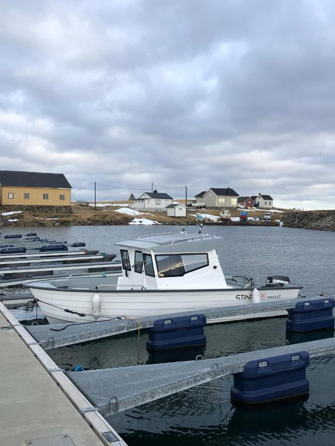 Ekkeroy Lodge - Arctic Living 瓦德瑟 外观 照片
